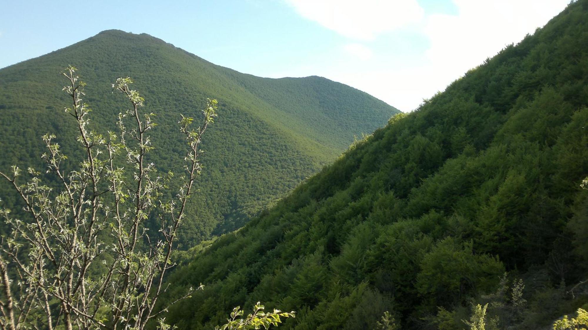 Albergo Corradetti Castel Di Sangro Bagian luar foto